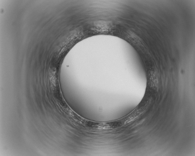 X0000057060612200509231534