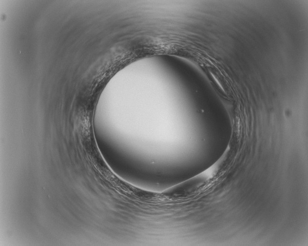 X0000057060613200509231534