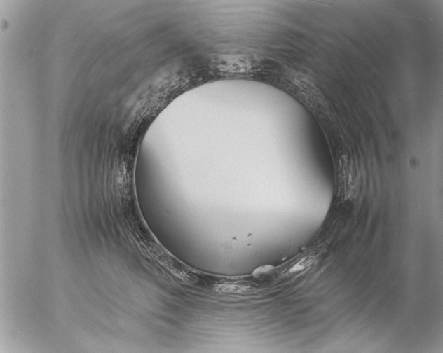 X0000057060614200509231534