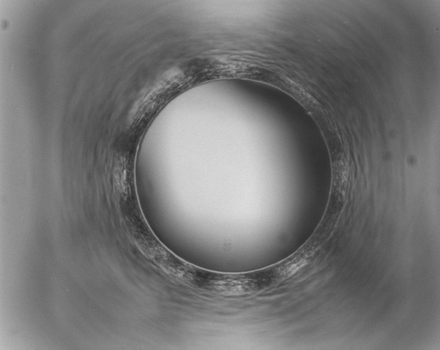 X0000057060615200509231534