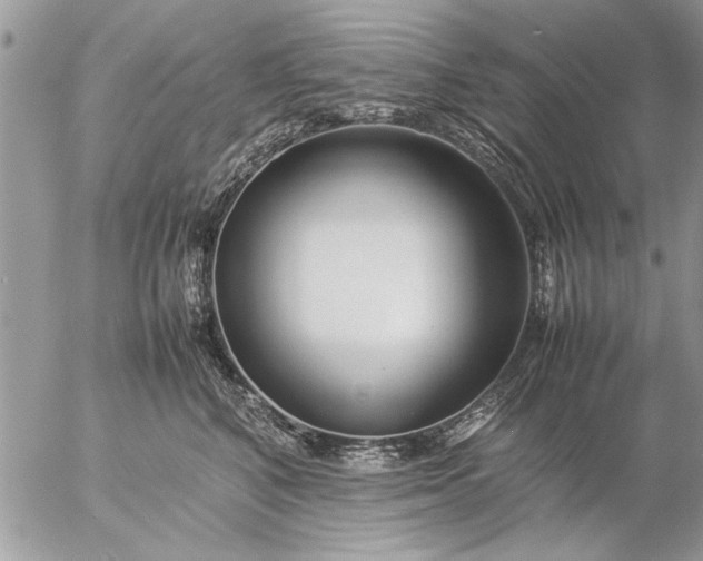 X0000057060616200509231534