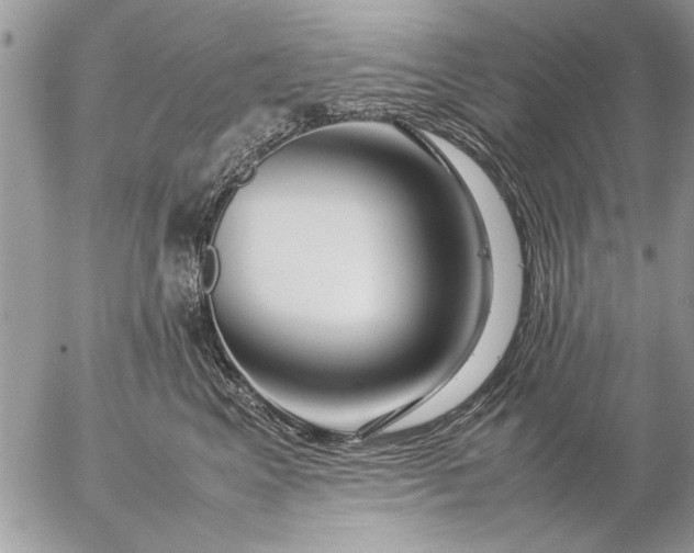 X0000057060617200509231534