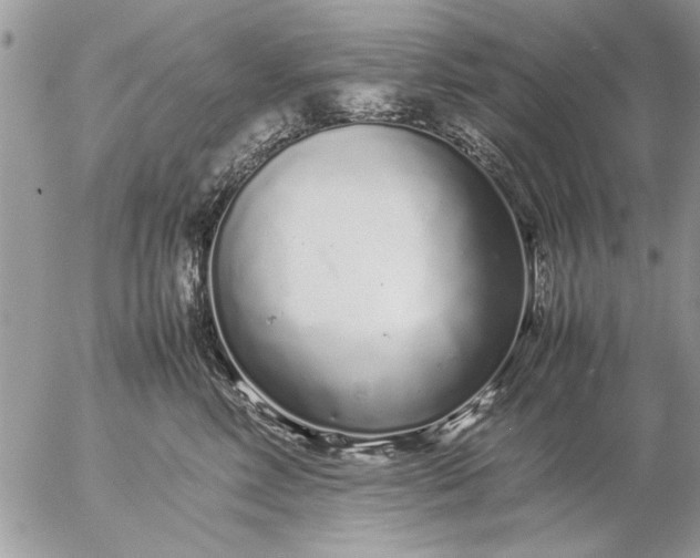 X0000057060618200509231534