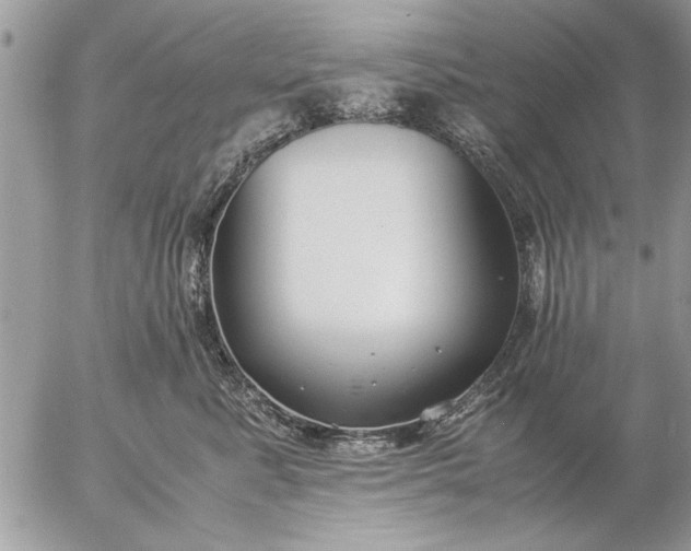 X0000057060619200509231534