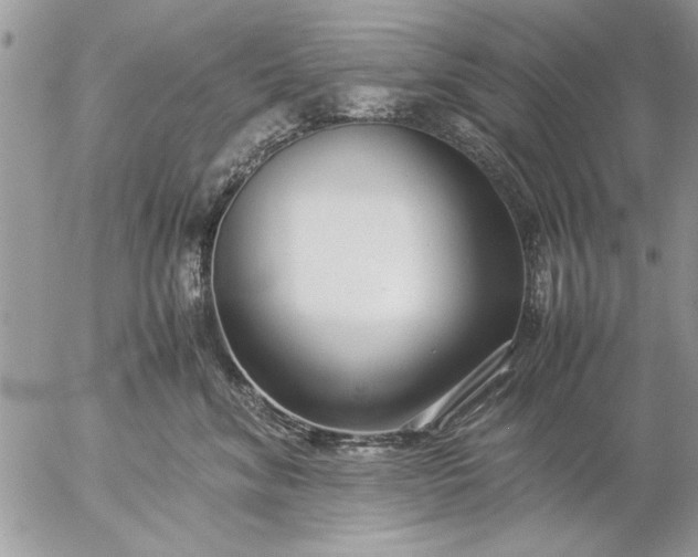 X0000057060620200509231534