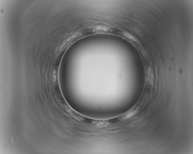 X0000057060621200509231534