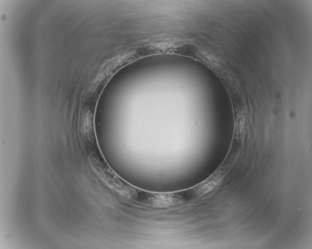 X0000057060623200509231534