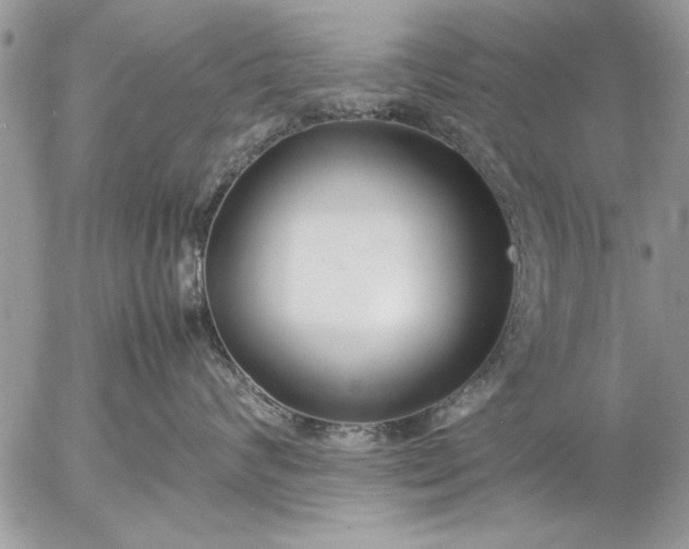 X0000057060624200509231533