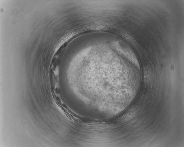 X0000057060626200509231533