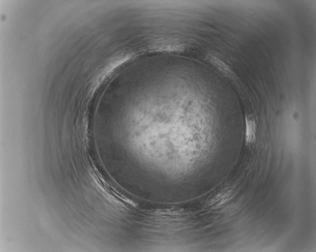 X0000057060627200509231533