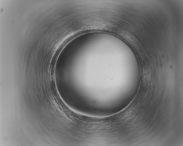 X0000057060628200509231533