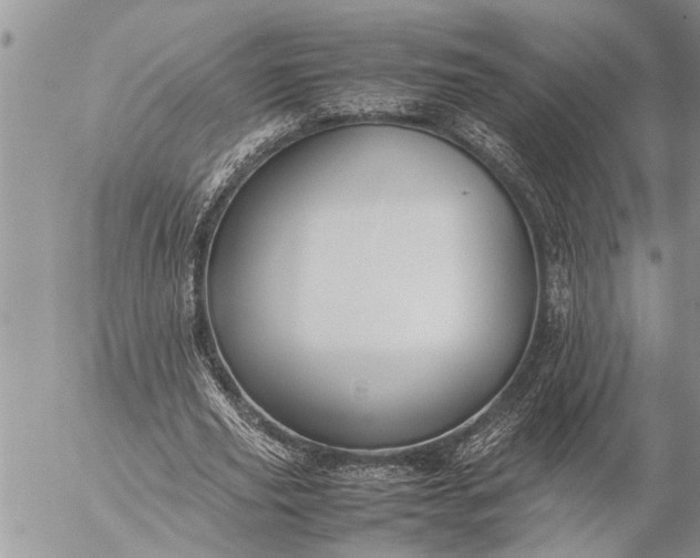 X0000057060629200509231533