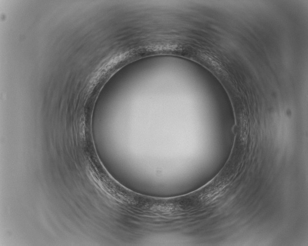 X0000057060631200509231533