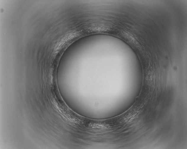 X0000057060635200509231533