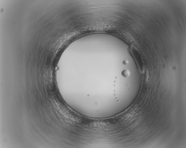 X0000057060636200509231533