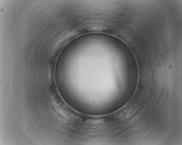 X0000057060639200509231533