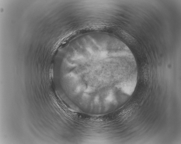 X0000057060640200509231533