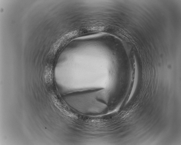 X0000057060641200509231533