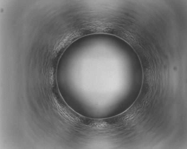 X0000057060642200509231533