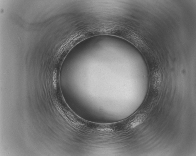 X0000057060644200509231533