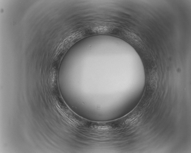 X0000057060645200509231533