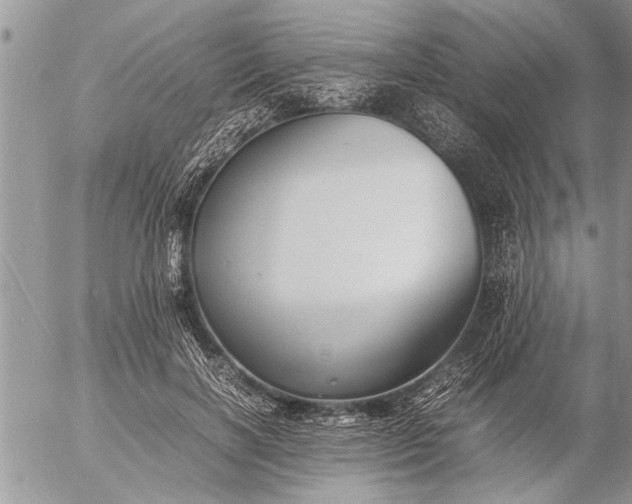 X0000057060646200509231533