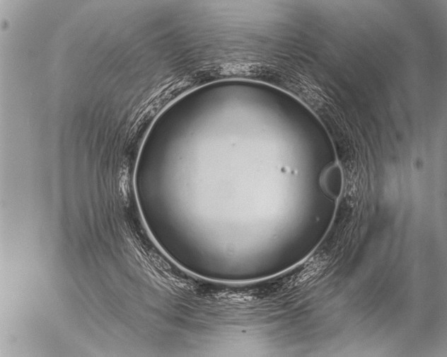 X0000057060648200509231533