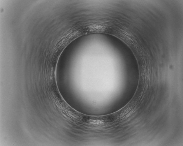 X0000057060649200509231533