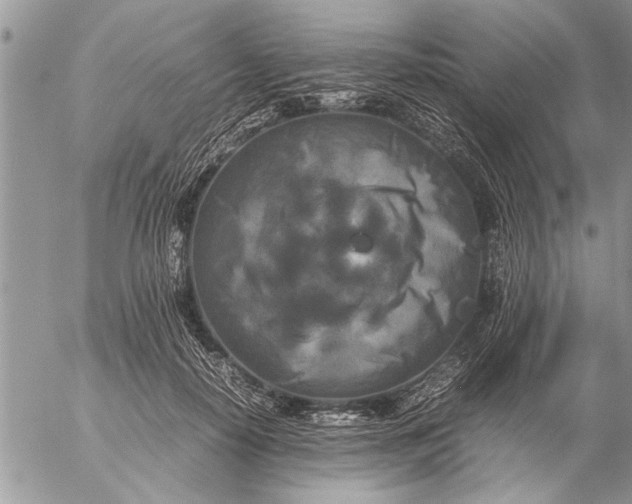 X0000057060650200509231533