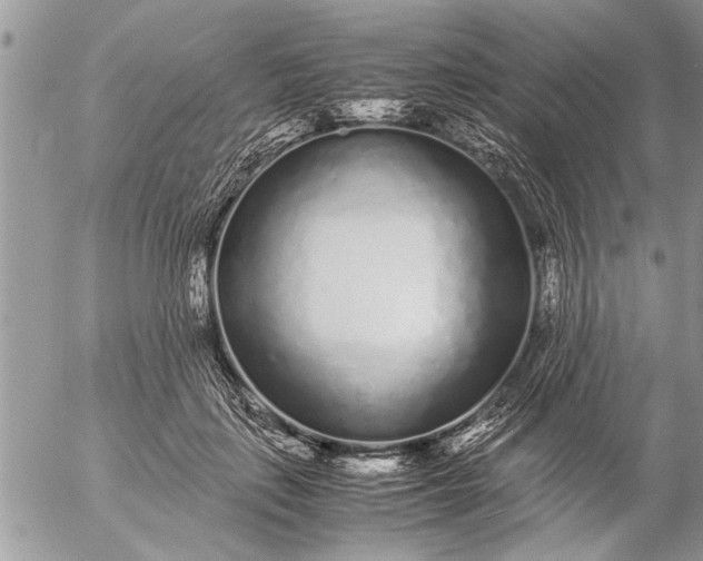 X0000057060651200509231533