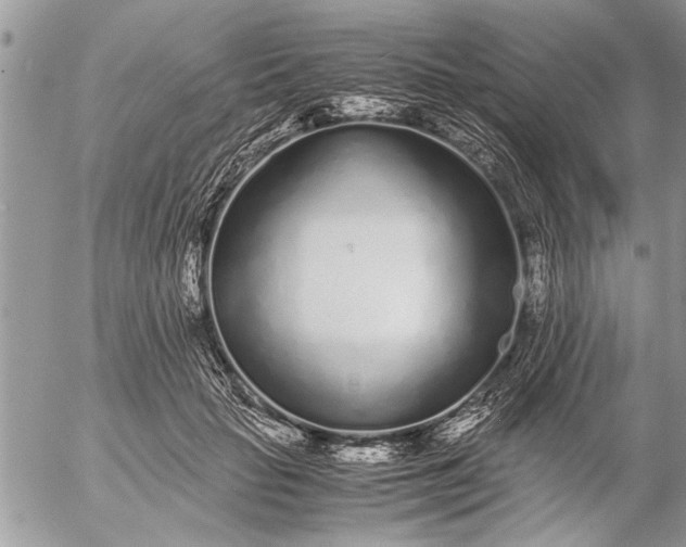 X0000057060653200509231533