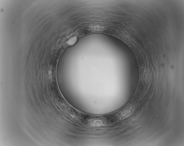 X0000057060655200509231533