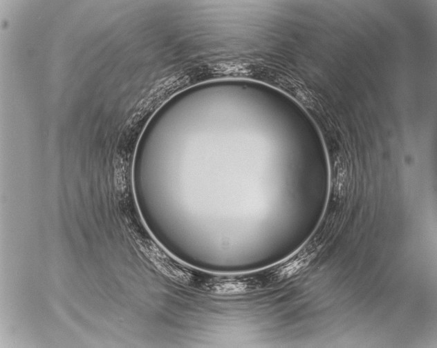 X0000057060658200509231533