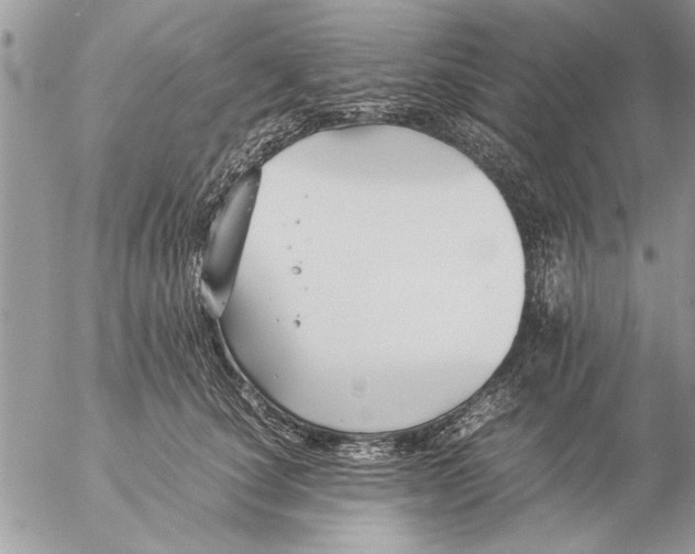 X0000057060660200509231533