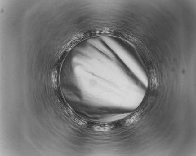 X0000057060661200509231533