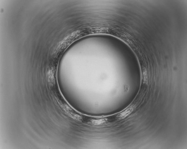 X0000057060662200509231533