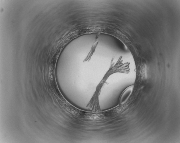 X0000057060663200509231533