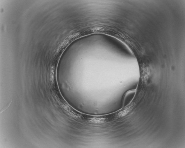 X0000057060664200509231533