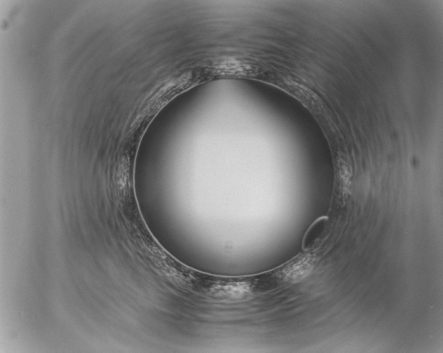 X0000057060665200509231533