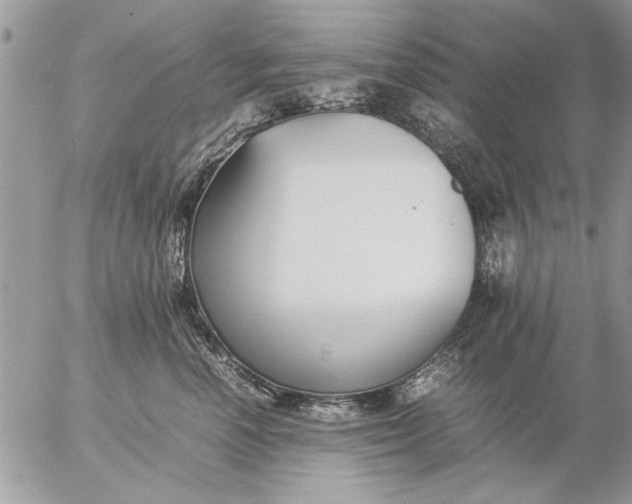 X0000057060666200509231533