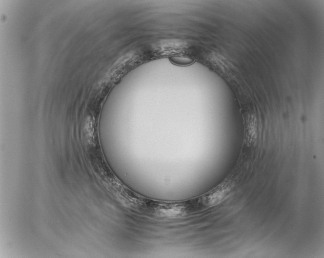 X0000057060667200509231533