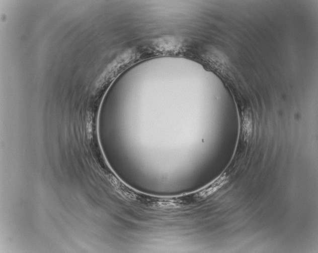 X0000057060668200509231533