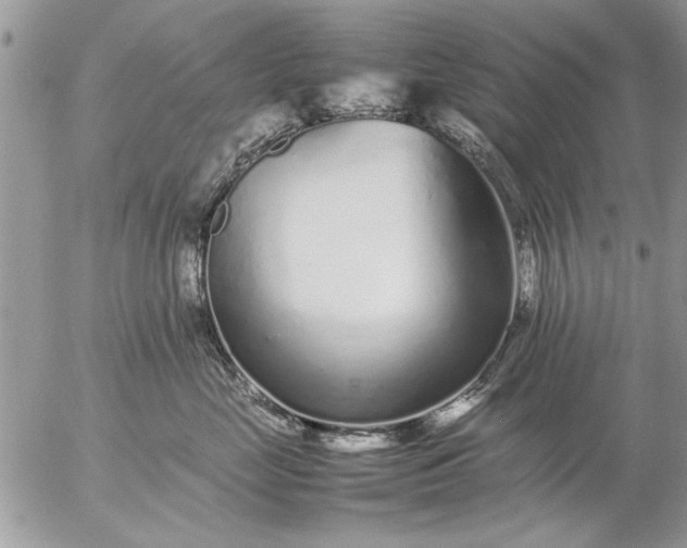 X0000057060669200509231533