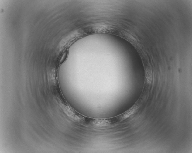 X0000057060670200509231533