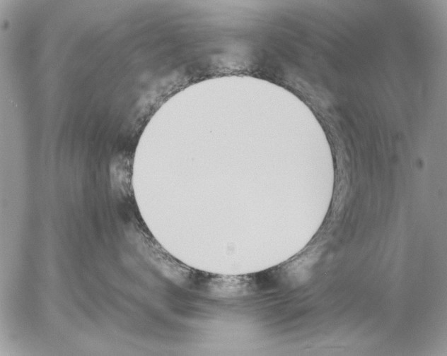 X0000057060672200509231533