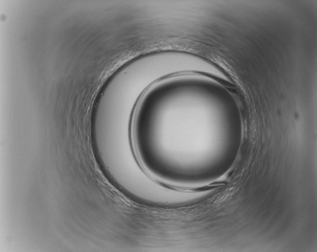 X0000057060673200509231533