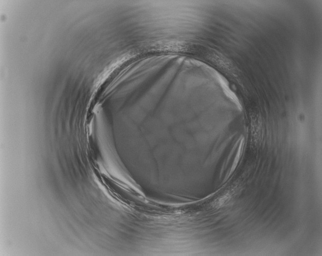 X0000057060674200509231533