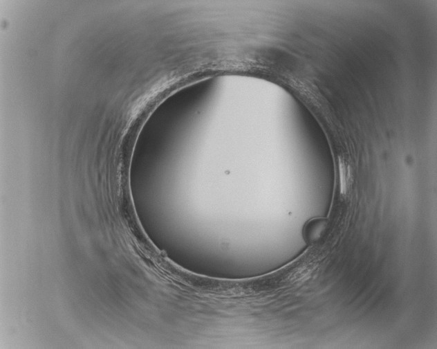 X0000057060675200509231533