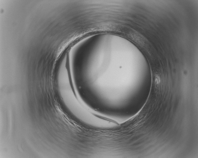 X0000057060676200509231533