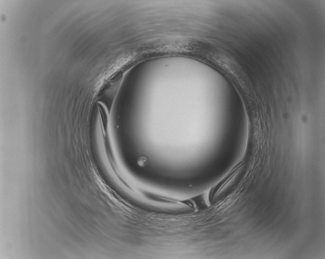 X0000057060677200509231533